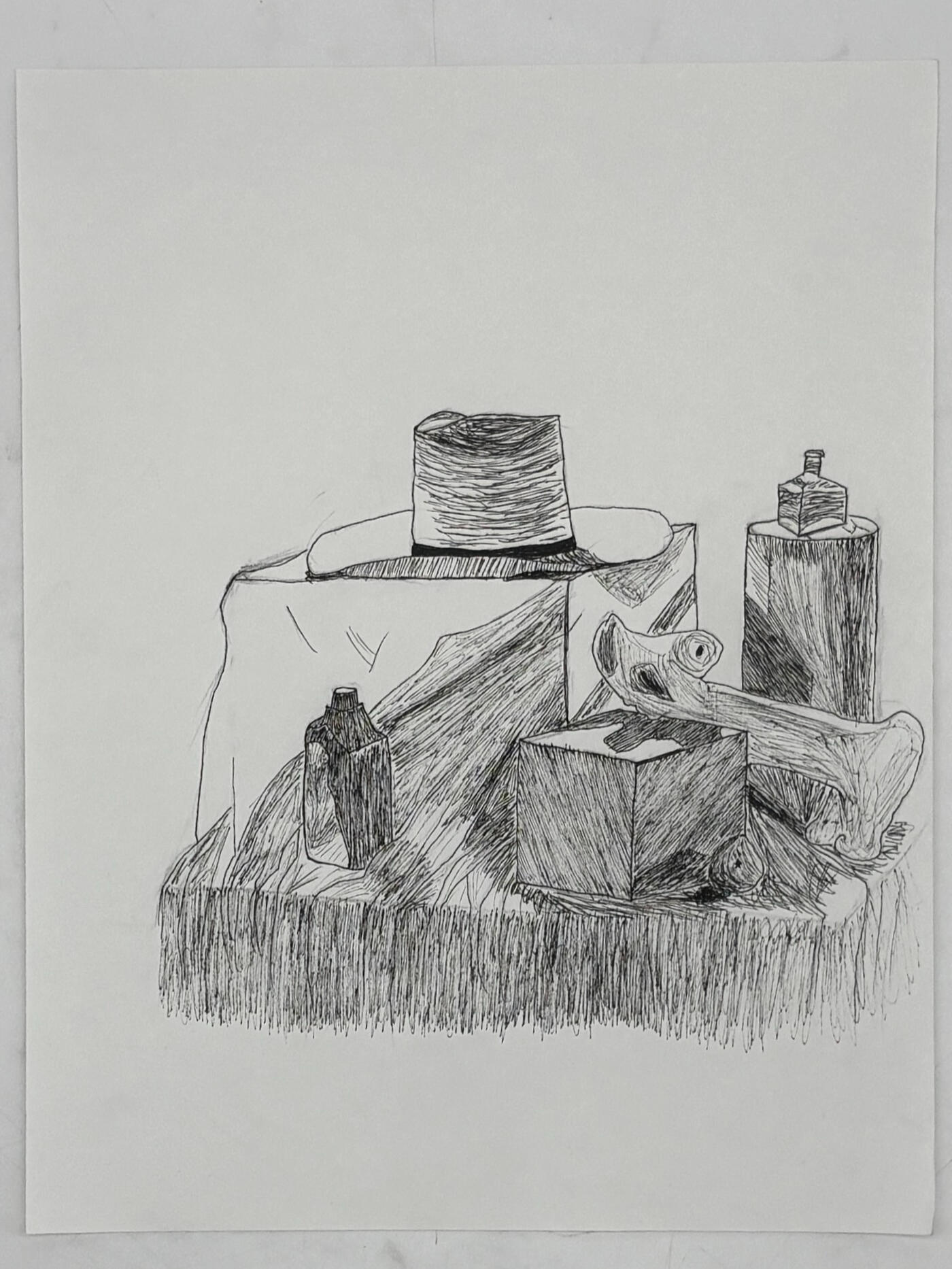 Ink Pen Still Life | Micron Pen | 2025